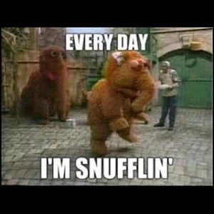 Meet your Posher, Gina